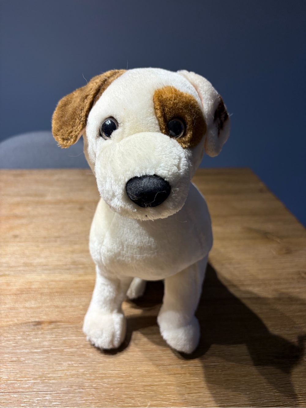 Plush Dog Toy - Wishbone - Vintage 1996